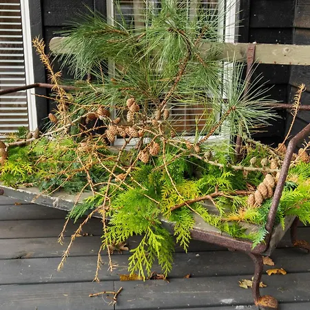 Amazing In With Wifi